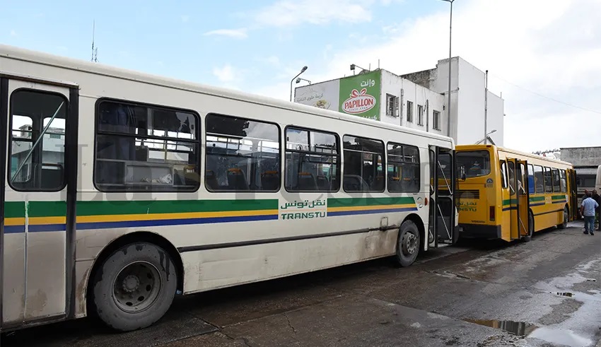  منها 150 استعملت في مونديال قطر 2022  .. شركة نقل تونس ستعزز أسطولها بأكثر من 400 حافلة